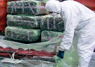 milano smaltimento amianto